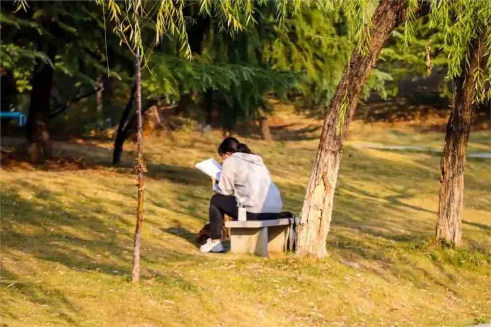 在一个阳光明媚的午后，美国某大学校园里，一位中国女生小慧正悠闲地坐在树荫下看书。她的好友小芳，一位美国本地女生，也加入了她的行列，两人享受着宁静的午后时光。