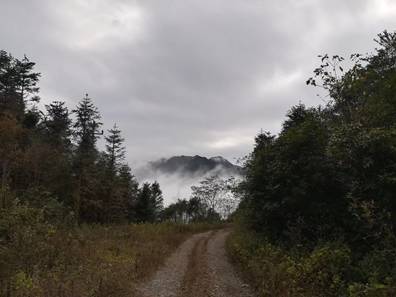 最新达丰招聘骗局？别怕，一起踏上探索自然美景的旅程！