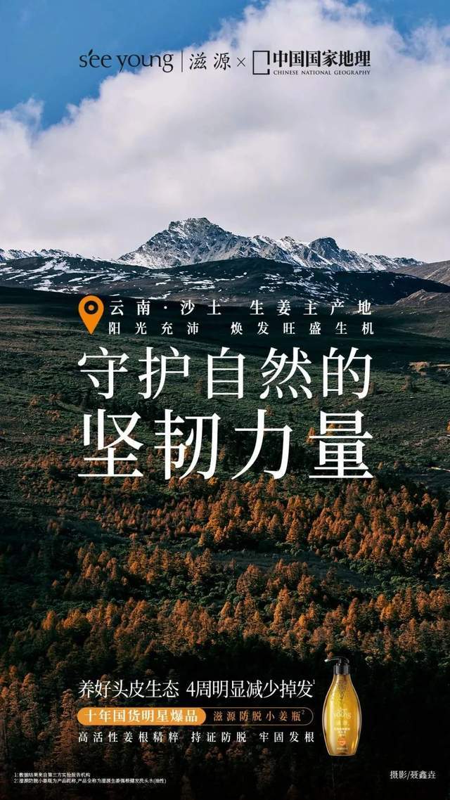 盛运环保最新公告，探索自然，发现内心的平静之旅